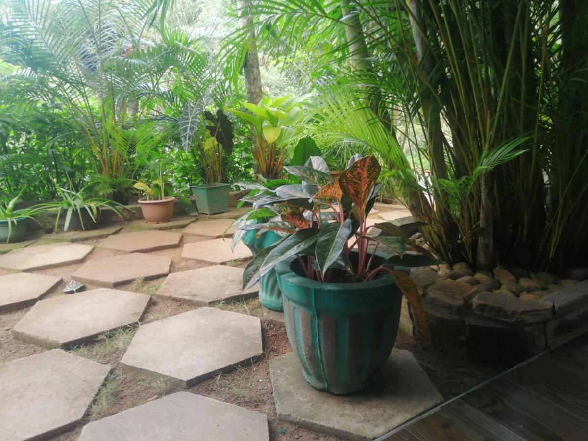 Sky Garden Ella Apartment Exterior photo